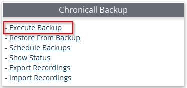 Execute_Backup.png